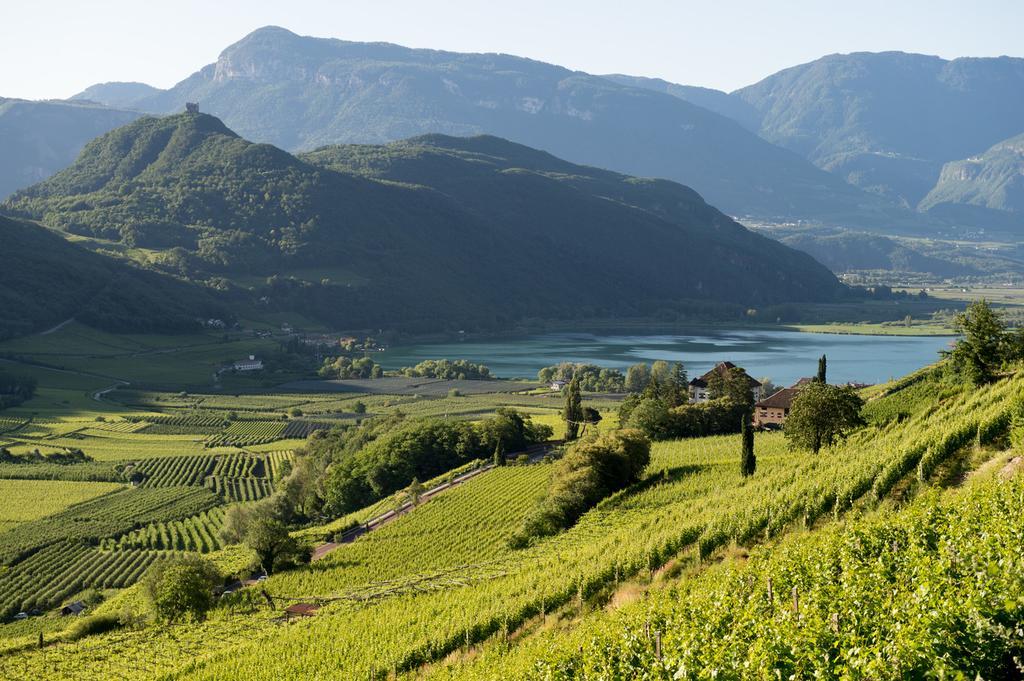Apartamento Haus Dorfblick Caldaro sulla Strada del Vino Exterior foto